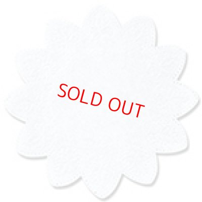 画像1: レースペーパー