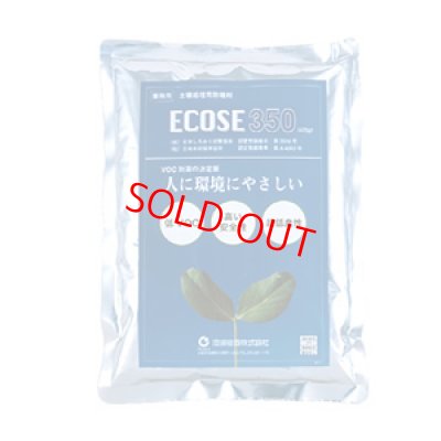 画像1: ECOES350 572g
