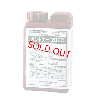 画像1: ガントナー20EC 900gx10本