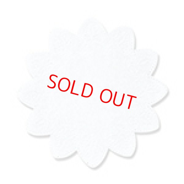 画像1: レースペーパー (1)