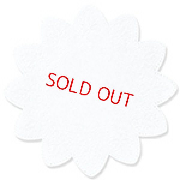 画像1: レースペーパー (1)