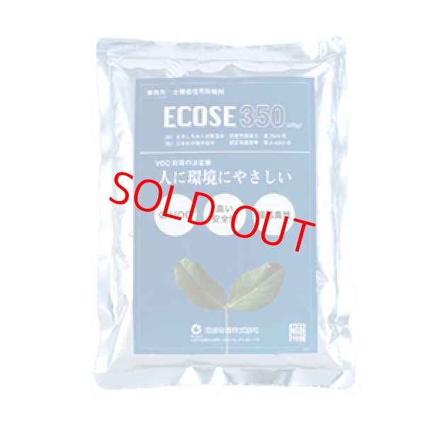 画像1: ECOES350 572g (1)