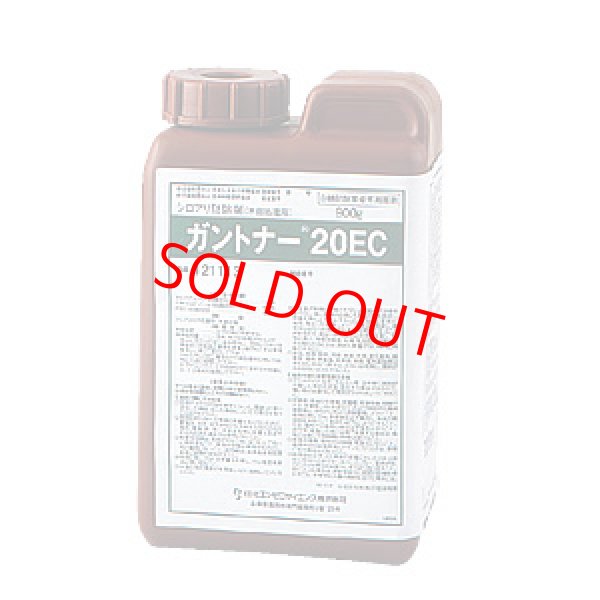 画像1: ガントナー20EC 900gx10本 (1)